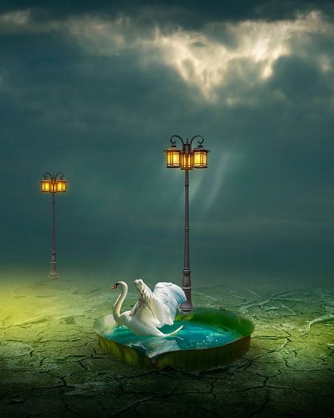 Le lanternphar par Catherine Fortin