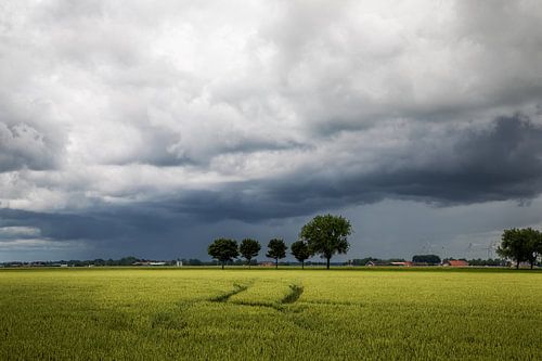 Machtige wolkenpartijen boven het platteland