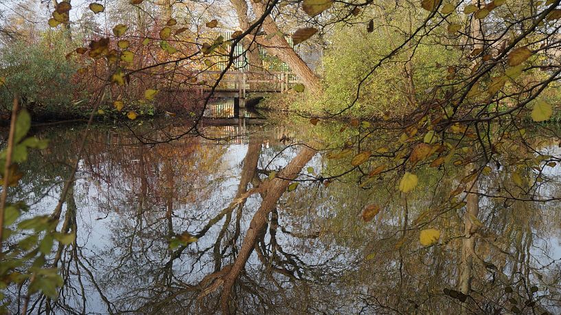 herfst by Dirk de Bood