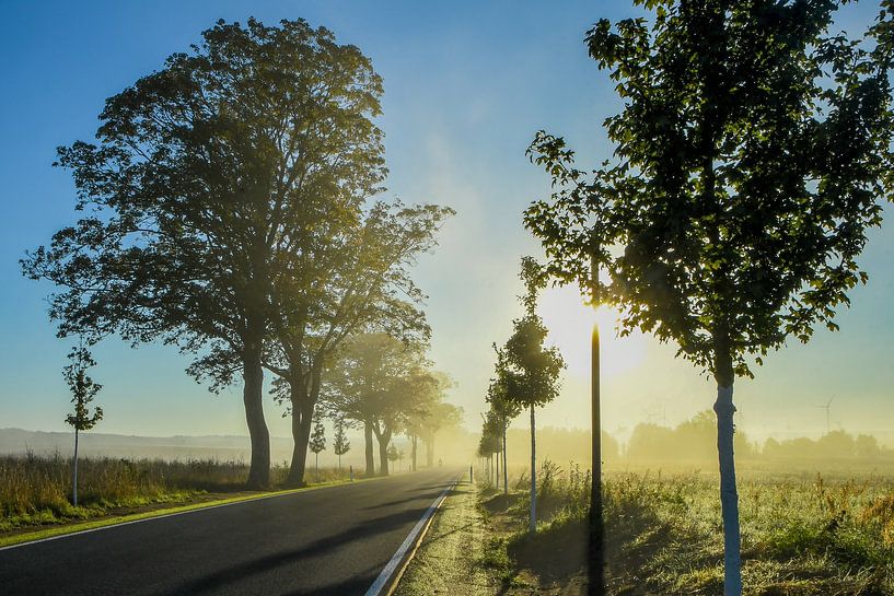 Landstraße in Brandenburg bei Sonnenaufgang II von SPUTNIKeins fotografie