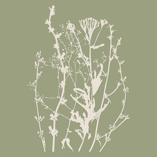 Meadow Botanical art in Sage Green en Beige nr. 10