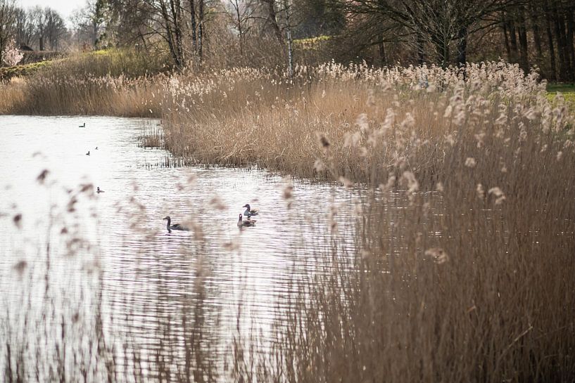 A sunny day at recreational lake by Mariette Kranenburg