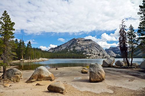 YOSEMITE VALLEY Tenaya Lake III by Melanie Viola