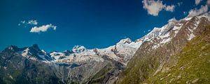 PANORAMA SAAS FEE