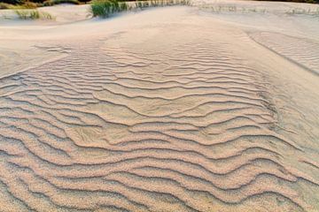 Grijze duinen in de herfst van Yevgen Belich