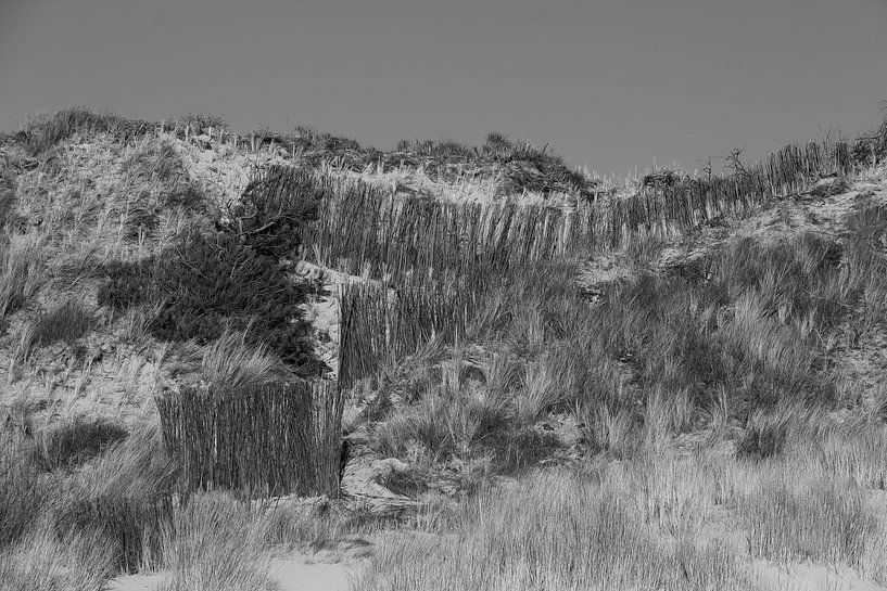 Une dune de Zélande en noir et blanc. par Jose Lok