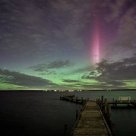 STEVE sur Marvin Schweer