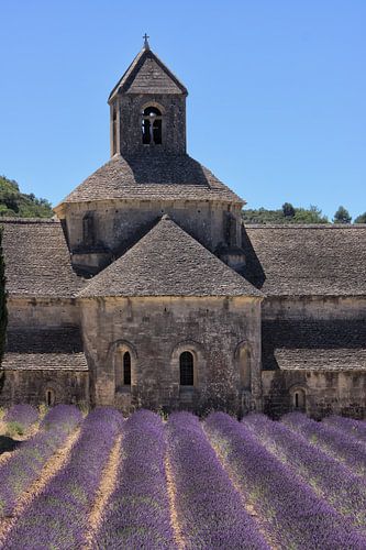 Abbey of Sénanque with lavender field