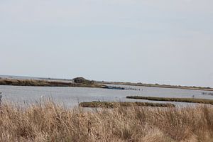Evros Delta - Deltaarm - Griechenland