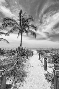 Alleine am Strand | Monochrom von Melanie Viola