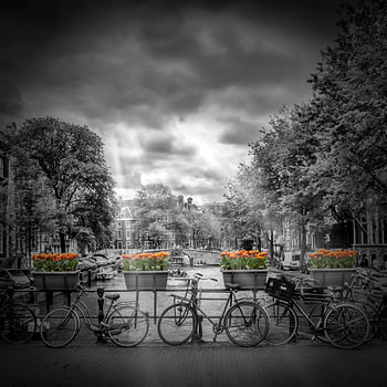AMSTERDAM Gentlemen?s Canal