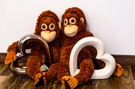 Zwei Stofftier Affen sitzen Arm in Arm und haben zwei Herzen in der Hand von Tom Voelz Miniaturansicht