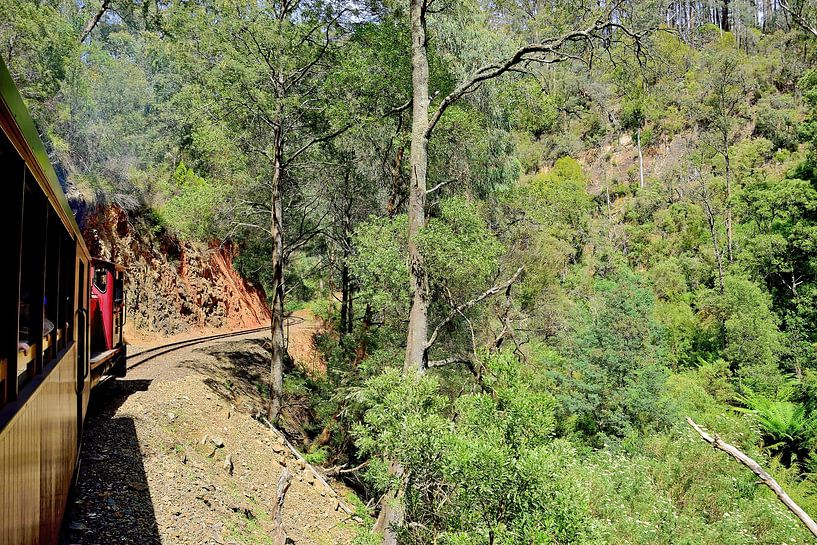 Moving forward by Frank's Awesome Travels