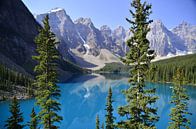 Moraine Lake in Kanada von Jurgen Hermse Miniaturansicht