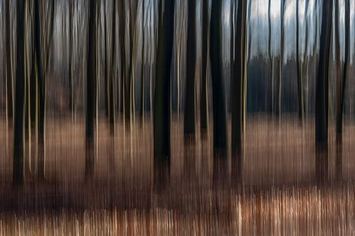 Abstrakter Herbstwald. von Albert Beukhof