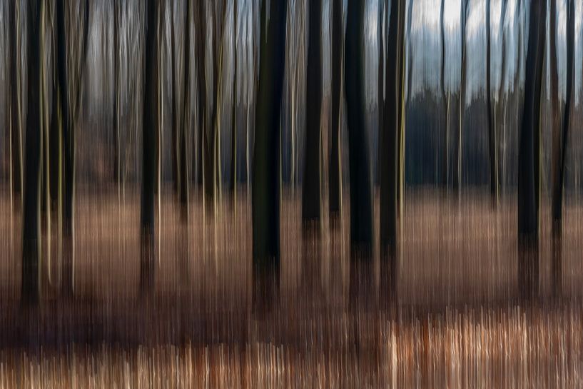 Forêt d'automne abstraite. par Albert Beukhof