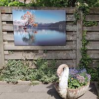 Kundenfoto: Frailty - Lake Wanaka von Thom Brouwer, auf leinwand