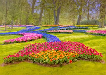 Beautiful tulip field