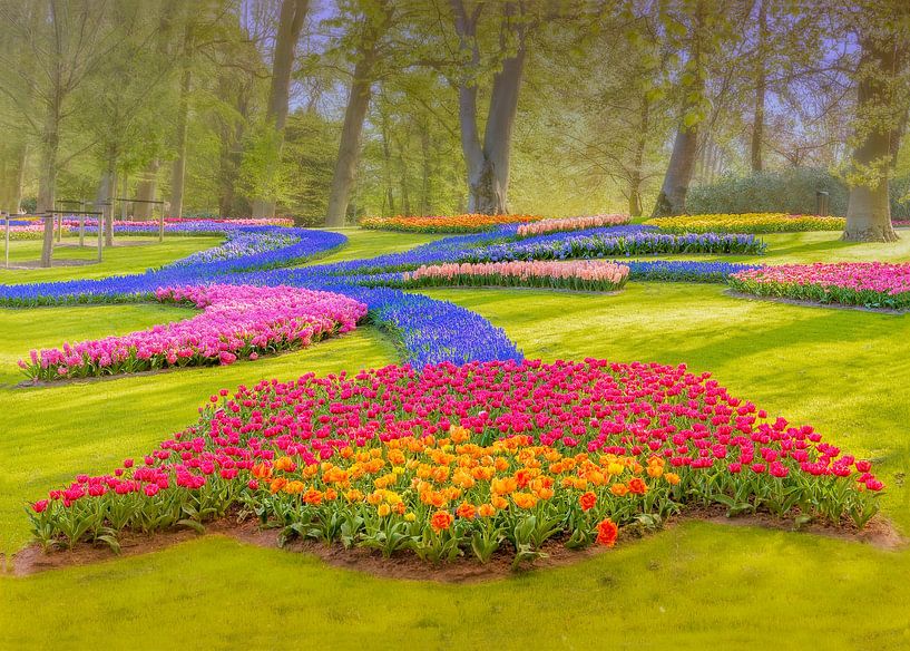 Beautiful tulip field by Nicole Jagerman