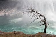 Niagarafälle / Niagarafälle von Margo Schoote Miniaturansicht