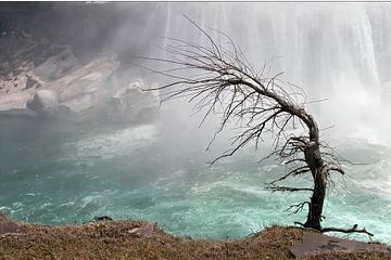 Niagarawatervallen / Niagara Falls