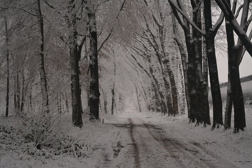 Winter strasse mit Schnee von Klaas Dozeman