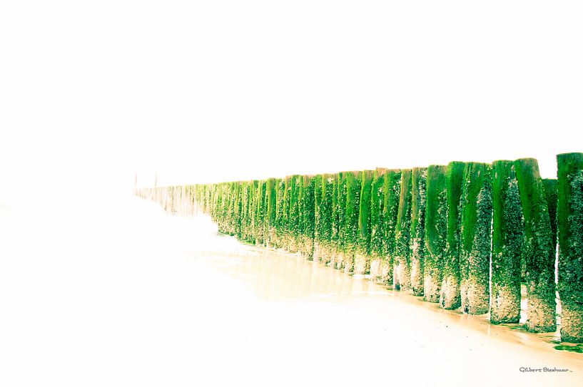 groynes into the sea by nilix fotografie