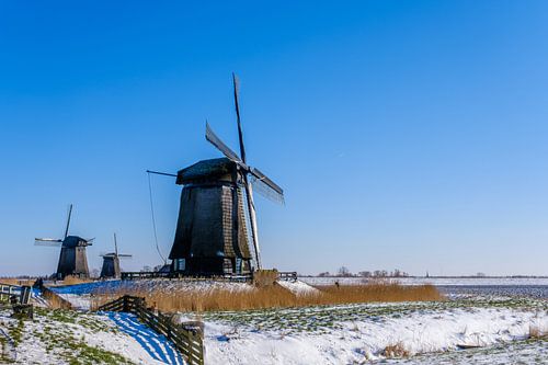 Hollands plaatje