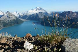 Liebe Grüße vom Garibaldi Lake von Femke van Egmond