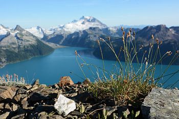 Liefs vanuit Garibaldi Lake