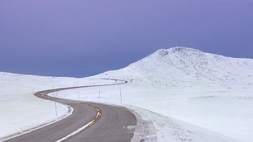 Weg in Winter, Noorwegen van Adelheid Smitt