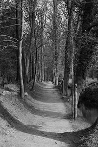 Eine Allee auf einem Anwesen entlang eines Baches