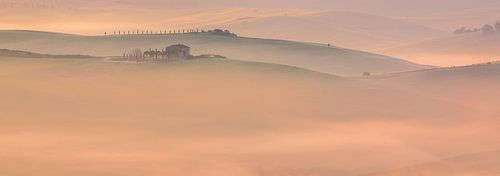 Mist en ochtendlicht in Toscane, Italië