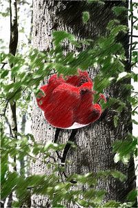 Bollenhut am Baum ART 2.0