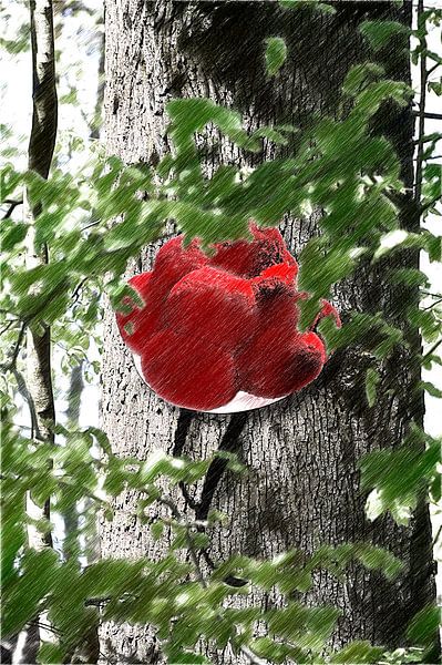 Bollenhut am Baum ART 2.0 von Ingo Laue