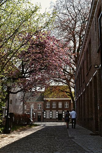 Lente uit een ver verleden