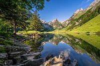 Seealpsee im Appenzellerland