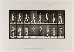 Vieille affiche d'un homme nu marchant de 1887 sur Atelier Liesjes