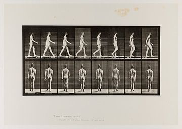 Oude poster van een naakte man die wandelt uit 1887 van Atelier Liesjes