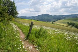 Landschaft um Winterberg, Sauerland, Deutschland von Alexander Ludwig