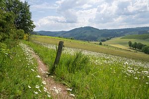 Landschaft um Winterberg, Sauerland, Deutschland