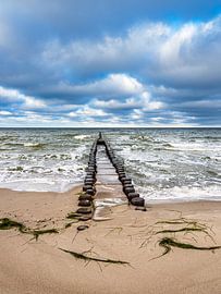 Groynes on the coast of the Baltic Sea on Fischland-Darß by Rico Ködder