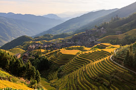 Golden Terraces of Longji