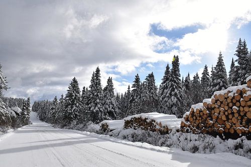 De noordelijke rangweg in de winter