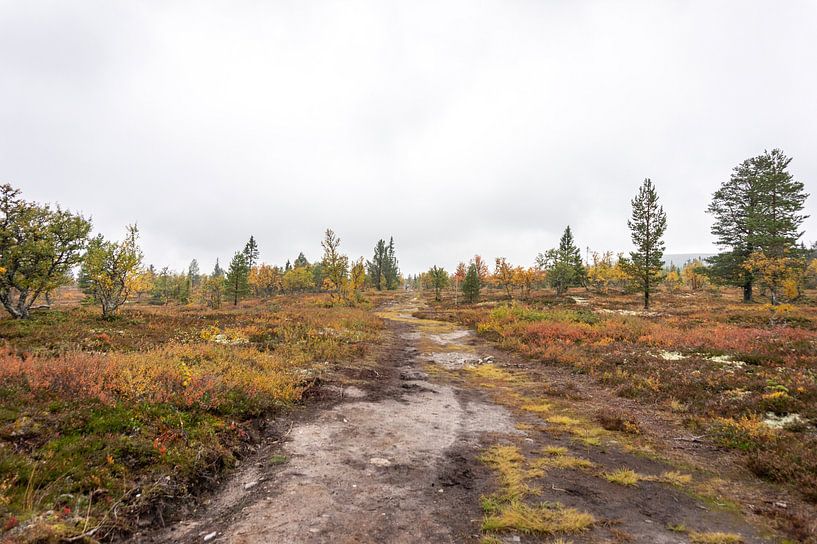Swedish landscape in Lofsdalen by Lynn Haverhals