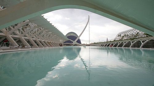 Ciudad de las Artes y las Ciencias - Valencia