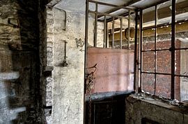 Door and window by Henk Elshout