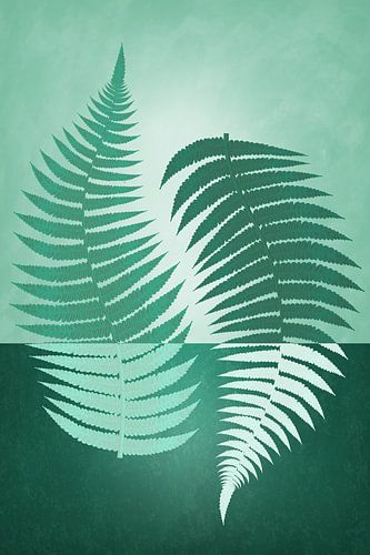 Gespiegelde groene varens