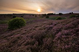 The Posbank at sunset by Paul Wendels