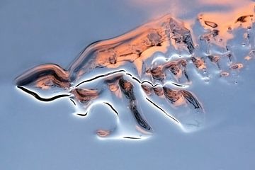 ijssculptuur van Ko Hoogesteger